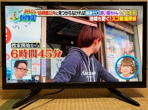 24型液晶テレビ　ミスターマックスオリジナル