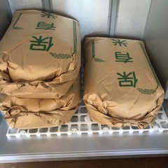 新米 令和7年収穫🌾　ハザ掛米『風さやか』玄米30kgの画像