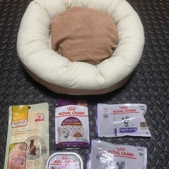 猫用品