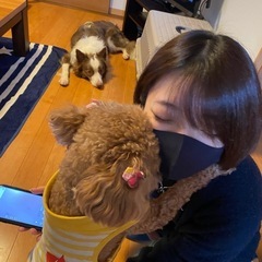 ペット共生型障がい者グループホームの入居者様募集🎵 - 春日部市