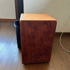 カホーン（ケース付き）音質は問題なし