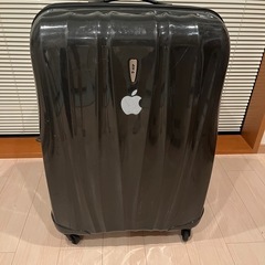 サムソナイト他トランク4種の画像