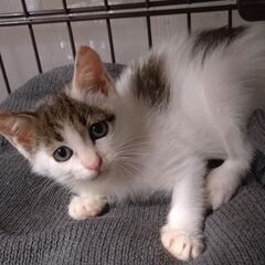 ★★トライアル中★★よろしくお願いします