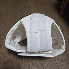 格闘技フェイスガードの画像