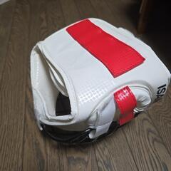 格闘技フェイスガードの画像