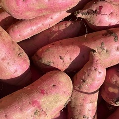 サツマイモ　　紅はるか　5 kg   900¥   