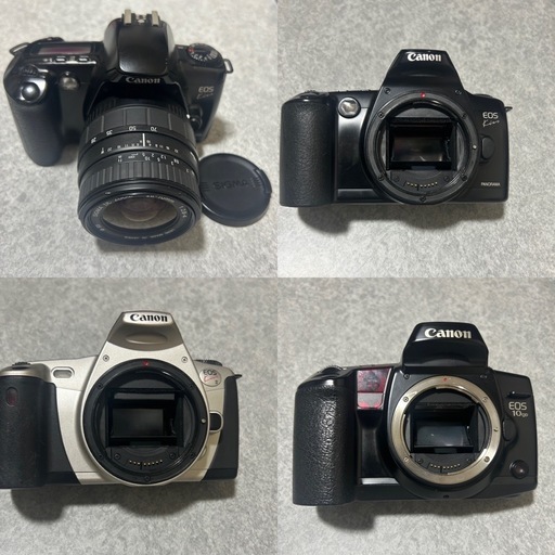 ️フィルム一眼レフカメラ️