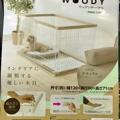 コールマン 5点セット アウトドア用品