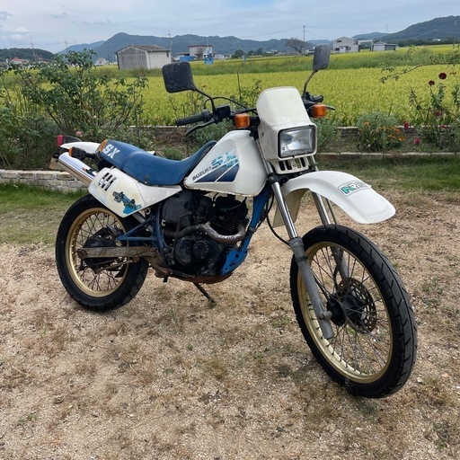 スズキ　SX125R 実動車　　小型バイク　楽しい6速ミッション