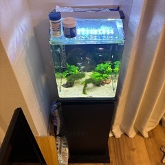 30センチ水槽セット、台付き🎵