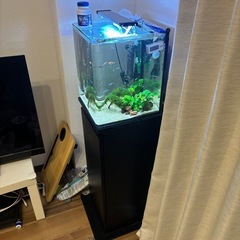 30センチ水槽セット、台付き🎵の画像