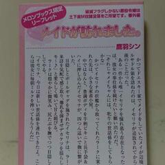 破滅フラグしかない悪役令嬢は土下座M奴隷没落をご所望です。 番外...