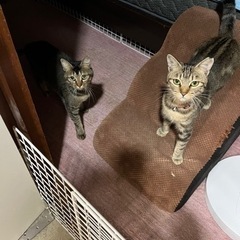 お話し中です。