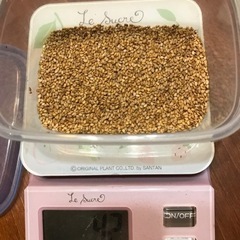 金胡麻、金ゴマ、金ごま10g