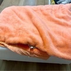 毛布　シングルサイズ