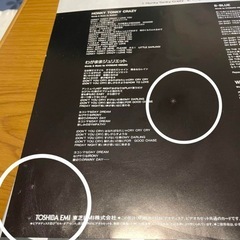 レーザーディスク　2枚セット　LD タイタニック　BOOWY の画像