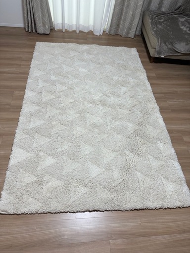 ニトリの厚手カーペット（デザインラグ・Nラカーザ