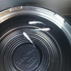 10/13めだか販売の画像