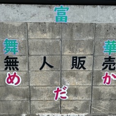 メダカ無人販売所の画像