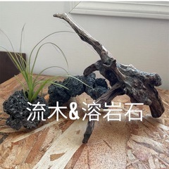 流木&溶岩石セット 水槽　アクアリウム