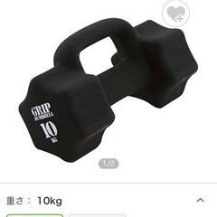 取っ手付き グリップダンベル2つ(10kg) 3B-3461の画像