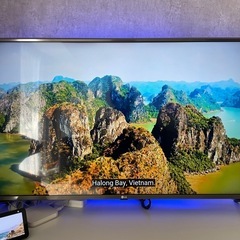 LG 43UJ6100 43インチ テレビ IPS 4Kパネル 　