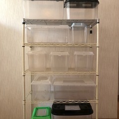 昆虫飼育セット　カブトムシ　クワガタ　　　　　　12ケース　棚も...