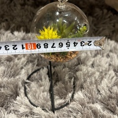 【取引決定】無料　10/17廃棄予定　ニトリ購入　フェイクグリーンガラスポットの画像
