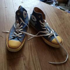 23くらいです。CONVERSEハイカット