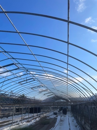 ビニールハウス6m．約200坪