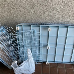 今日引き取り限定キャットハウス