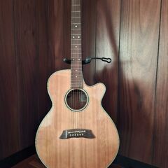 Takamine　ギター　pt106 N