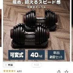 可変式ダンベルの画像