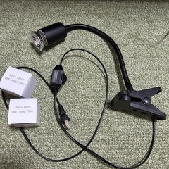 爬虫類　ライト　バスキングライト