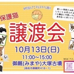本日開催　10/13(日)保護猫の譲渡会