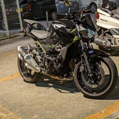 z250