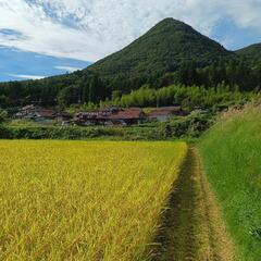 令和6年産 広島県龍頭山麓 ひとめぼれ 玄米 30kg 循環型農...