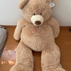 コストコ　くま