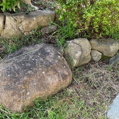 庭石の画像