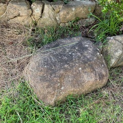 庭石の画像