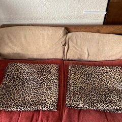 豹柄カーテン　2枚　の画像