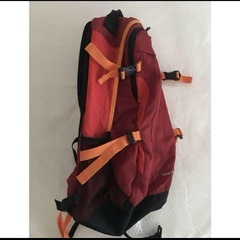 Columbia30リットルリュックの画像