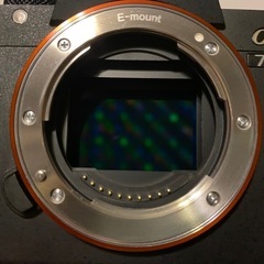 SONY ソニー α7III [ILCE-7M3] の画像