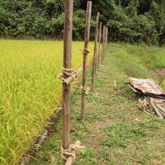 薪　ストーブ　廃材