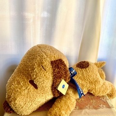 タグ付きスヌーピぬいぐるみ大の画像
