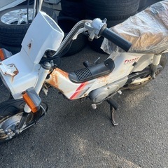 決まりました　シャリー　50 角目