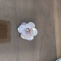 プリンセス　ドレスの画像