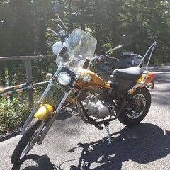 ホンダ JAZZ
