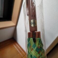 爽やかな色、柄のジャンプ傘☔️の画像