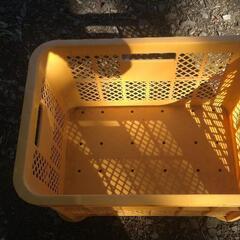 【大量】ホームコンテナ（黄）